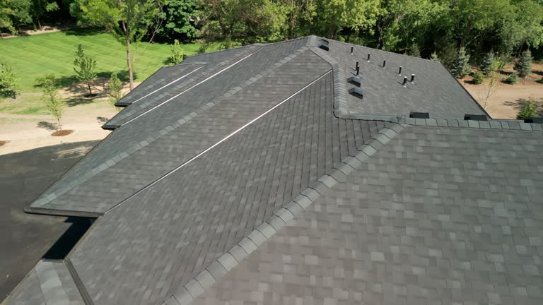 Best Roof Moss and Algae Removal  in South Boston, VA