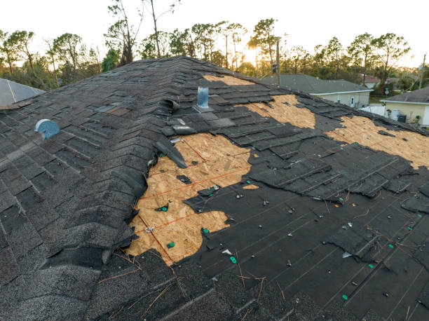 Best Roof Leak Repair  in South Boston, VA